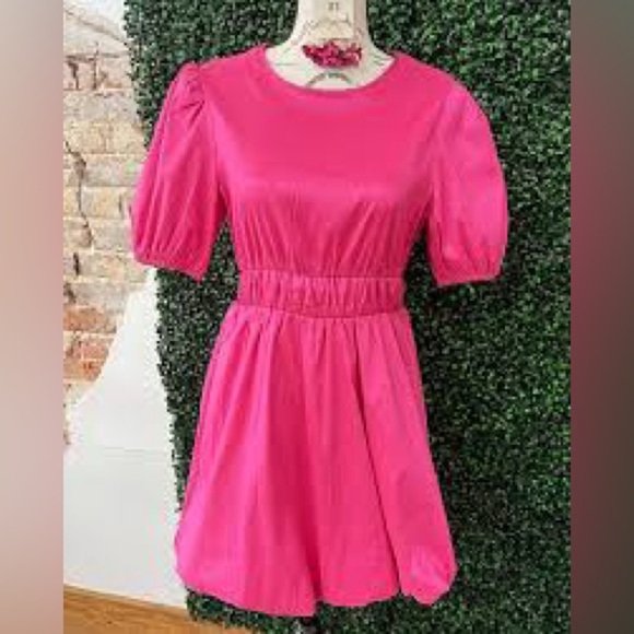 Pink Fit and Flare Mini Dress with Puff Sleeves - Picture 1 of 4